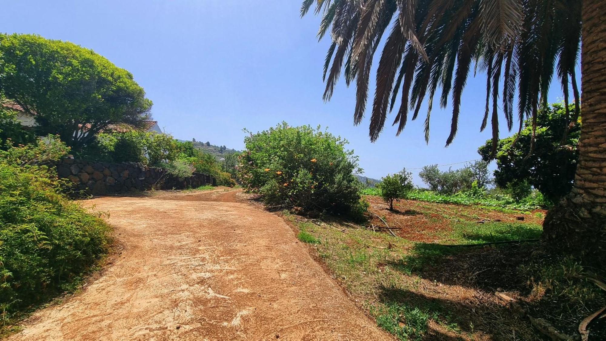 فيلا El Jocamo Puntagorda المظهر الخارجي الصورة